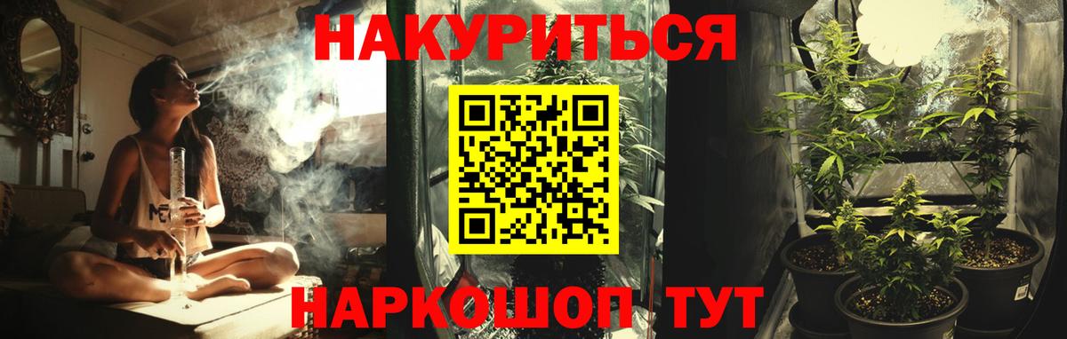 Канабис планчик Полысаево
